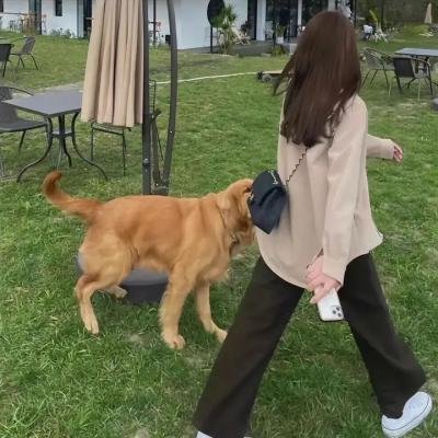 密谋